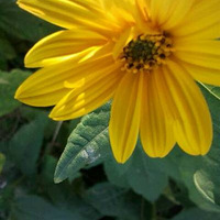 ��Щ�����Ľ־�