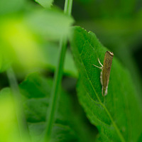 ͵�ð�����------΢���µ�{����}