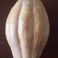 һֻϹholdס