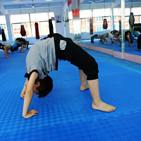 ������ѧ�Ļ���չ�һ��ķ�ɡ�