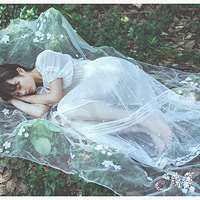 �����ϲ������ɭ��ϵ��