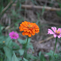 �������վ�