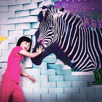 3D��������