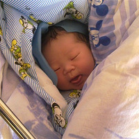 ��ɹ������������֪��ĸ����������֪��ĸ��