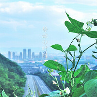 ���ϡ�������