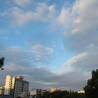 ̨����������