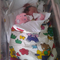 ��ɹ������+ͯͯ�˳ɳ���