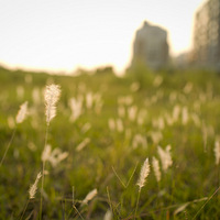  ��Ӱ��һ��̬��--����