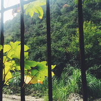 �ֻ�����