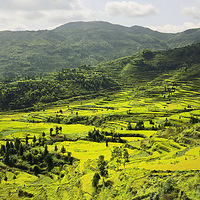 ��Ʋ��ӵ�����