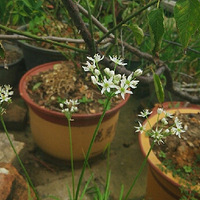 ΢���µĻ���