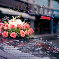 �Ҹ�����