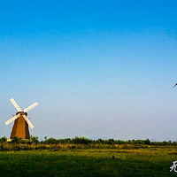 �ֻ�������ʪ�ع�԰