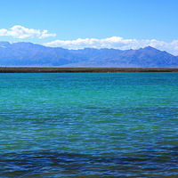 ����ľ��