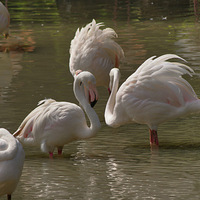 ������������԰һ����