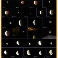 ��������ȫʳ������------ȫ�̸���