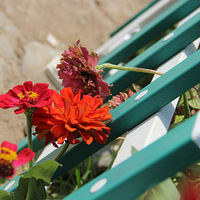 ����Ļ�����俪