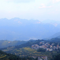 �����죬��Ҷ�أ���ɫ���������Ϻ��̴䡣