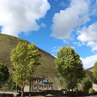 �¶���-��Ӱ������