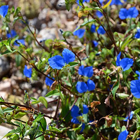 �Ҽ�һ����ɫ