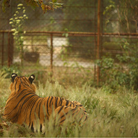 ���붯��԰2