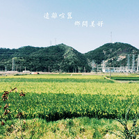 ���������ֻ���Ӱ