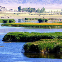 �½��ɿ��к�