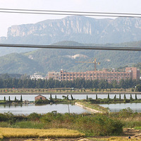 �ڸ�����