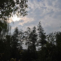 ��ĩ��԰����