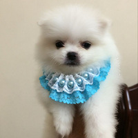�Ҽұ����Ѿ�2��������