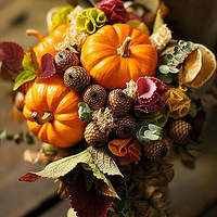 ����Ԫ��-�ϹϾ�����