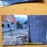 ��Ϊ��ɲ�Υ��������������Υ������