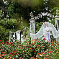 ������ʱ�о��䡿�����͸������ܡ�������