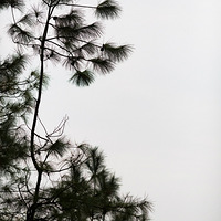 2014.11.13ʯ���ˣ��о�ϲ