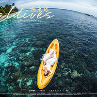  ���ϵ۶����˼��һ���������� ����˼��Ӱ ������������Ԥ��