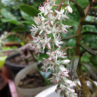 ��Ҳ������ɶ����