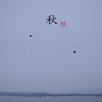 ����-����-����