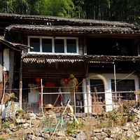 �ٺ����֮��̶����ɫ