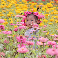 ���Ұ�APP����С�����ǳ���ð������