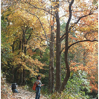 ���Ϲŵ��ͺ��