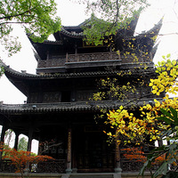 ������ɫ��