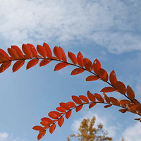 �������������