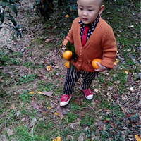 ���Ұ�APP��С����ժ����ඣ�Ҫô��Ҫô