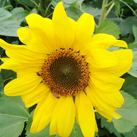 С����ǣ����ǵý��������տ���