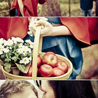 ��ɴ�ղ���Ҫ������