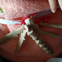 ���Ұ�APP��С��Ѿ��С�·���С����
