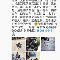 ��Ѱ�����¡�11.29������ʧ����2000Ԫ