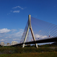 �����ٺ�