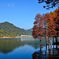 ��̶ˮ�������