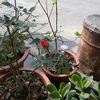 ����һ��